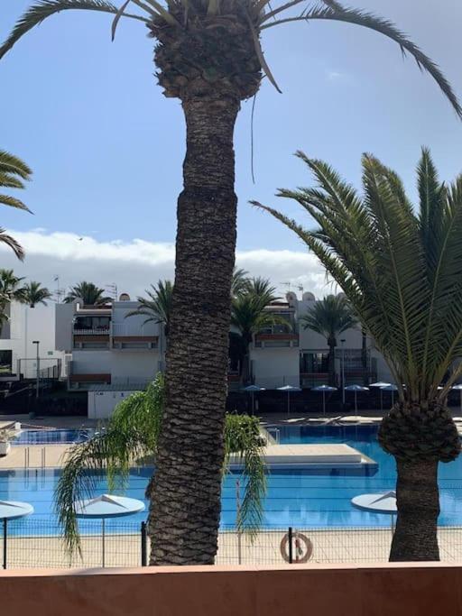 Lovely Apartment With Pool Costa Del Silencio Dış mekan fotoğraf