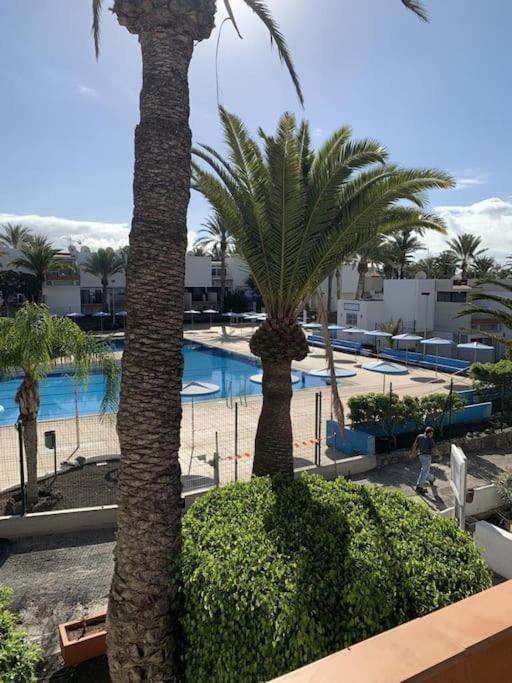 Lovely Apartment With Pool Costa Del Silencio Dış mekan fotoğraf