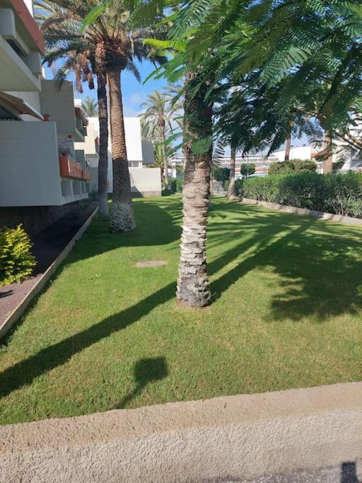 Lovely Apartment With Pool Costa Del Silencio Dış mekan fotoğraf
